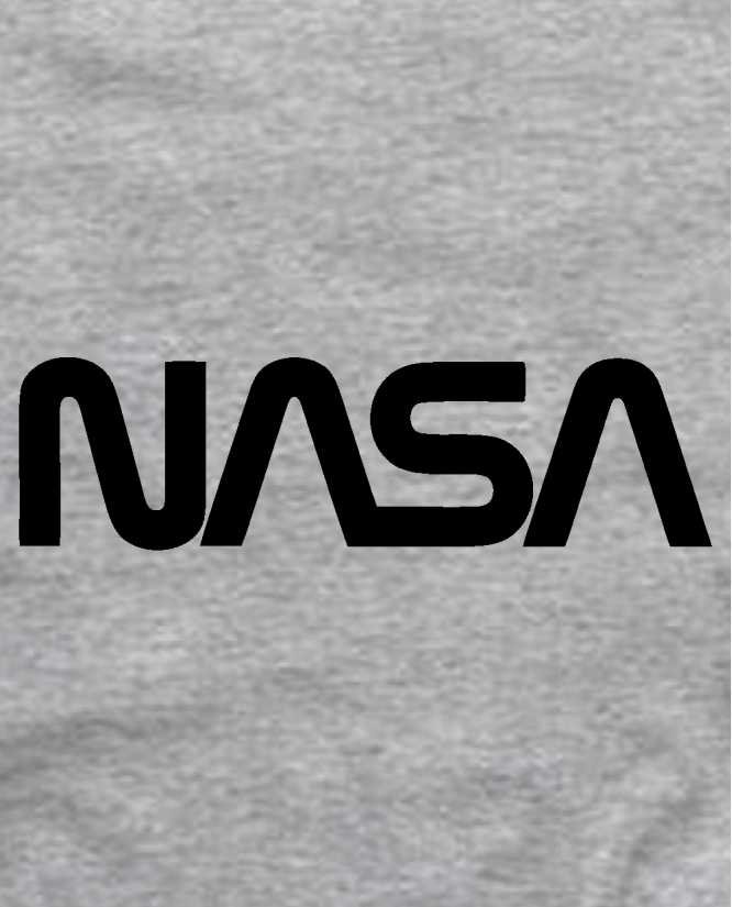 Nasa logotipas